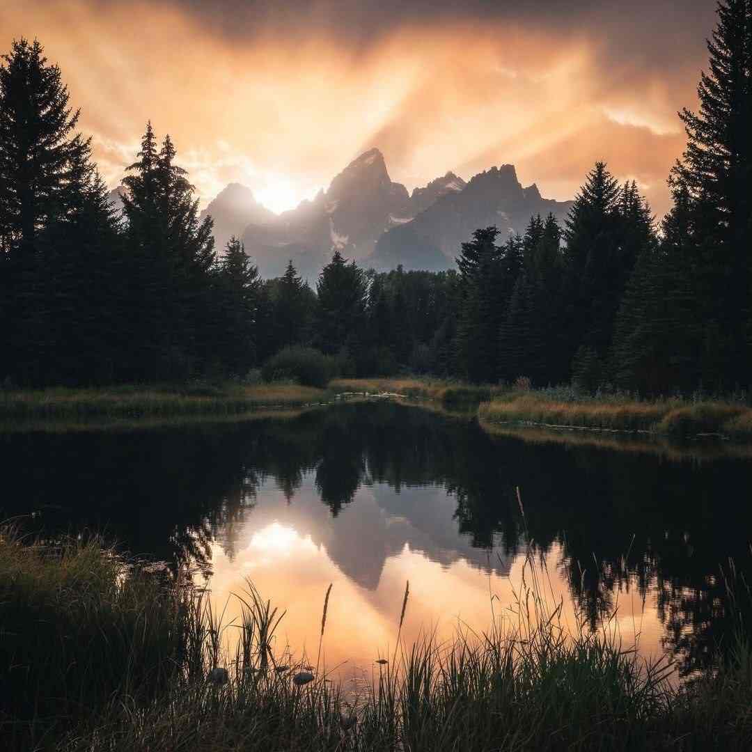 آهنگ جدید  این دفعه نمیبخشمت اگه بخندی با دوستم